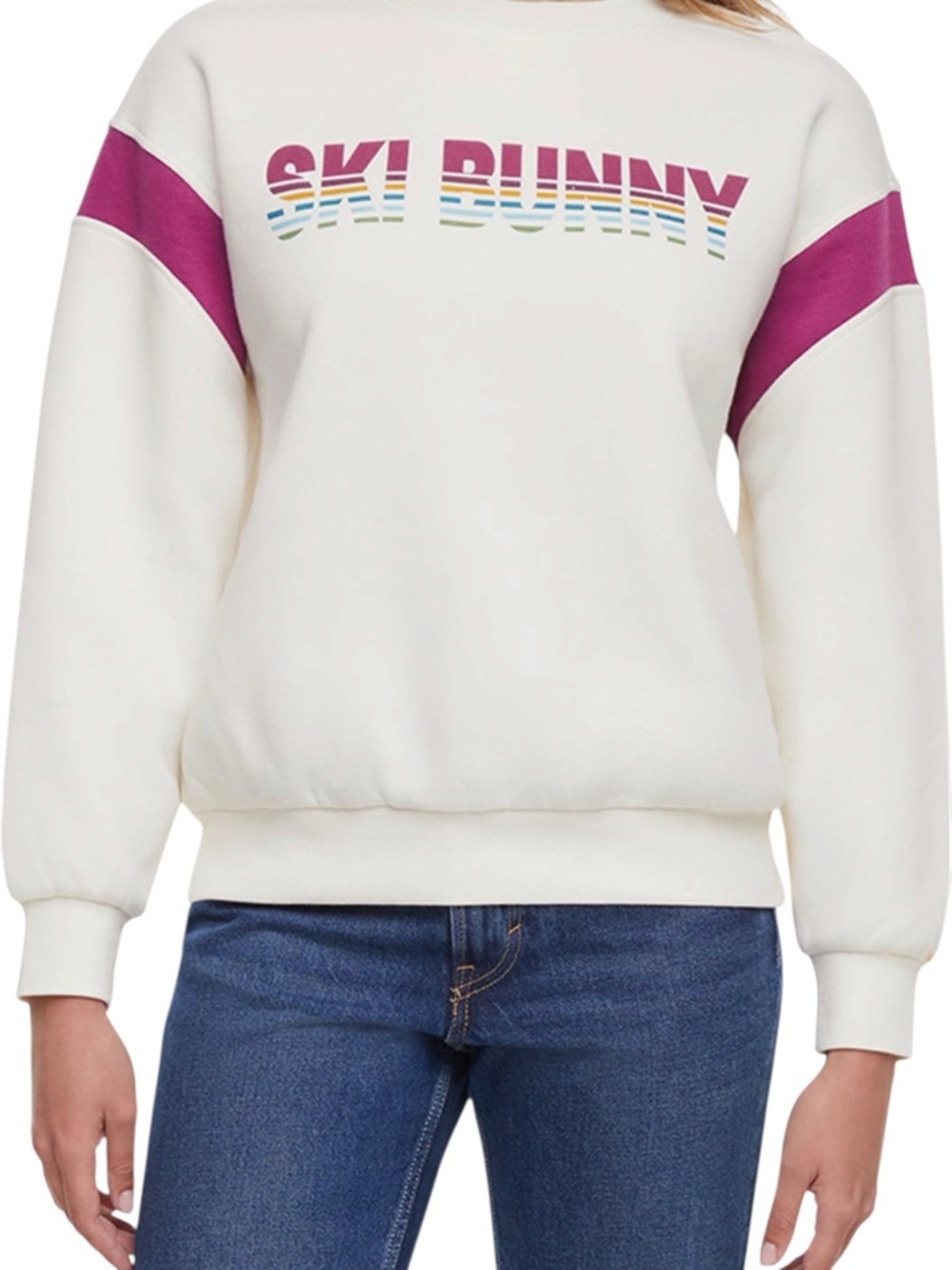 Wildfox Ski Bunny Varsity Crewneck Sweatshirt